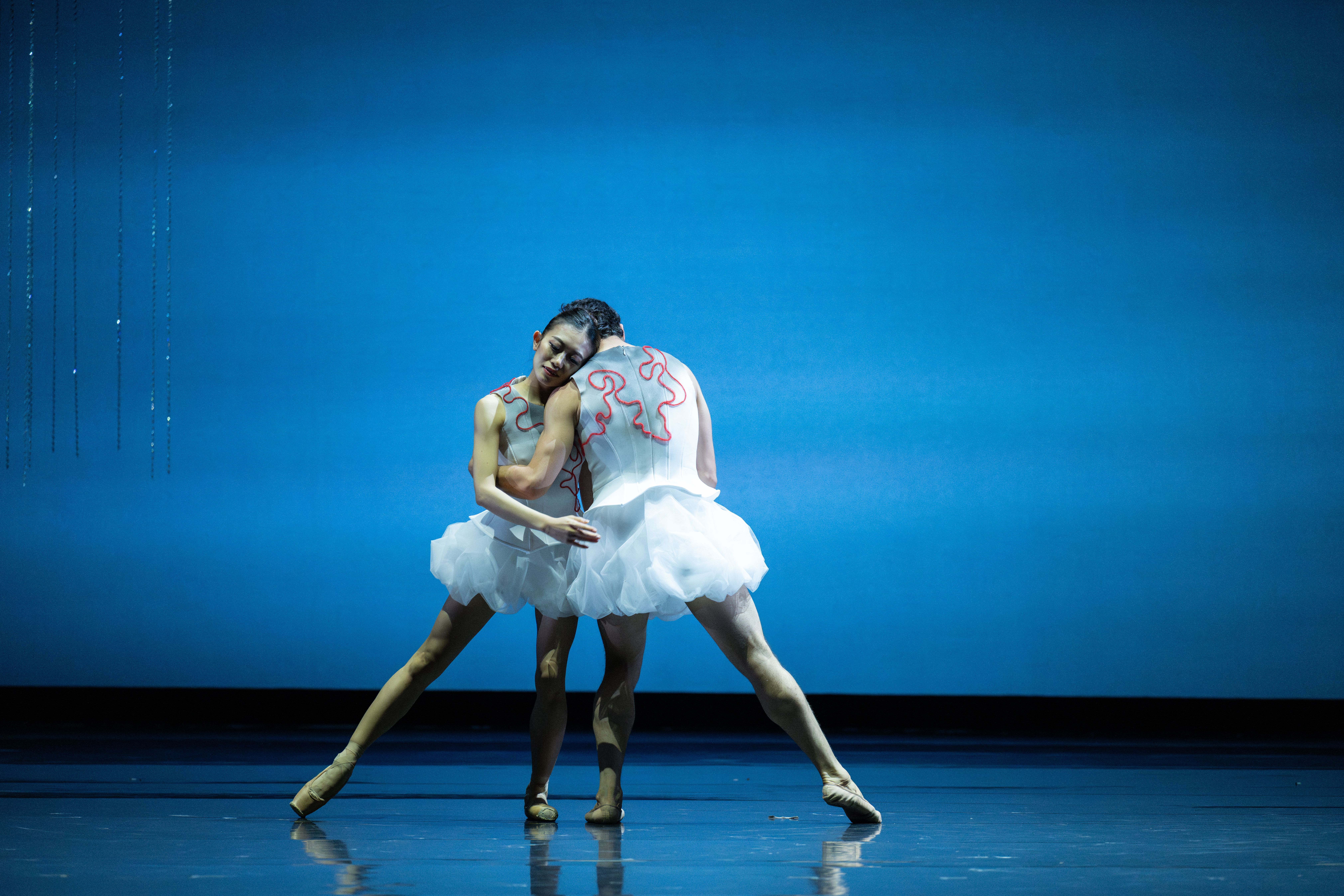 Atlanta Ballet Performance Image
