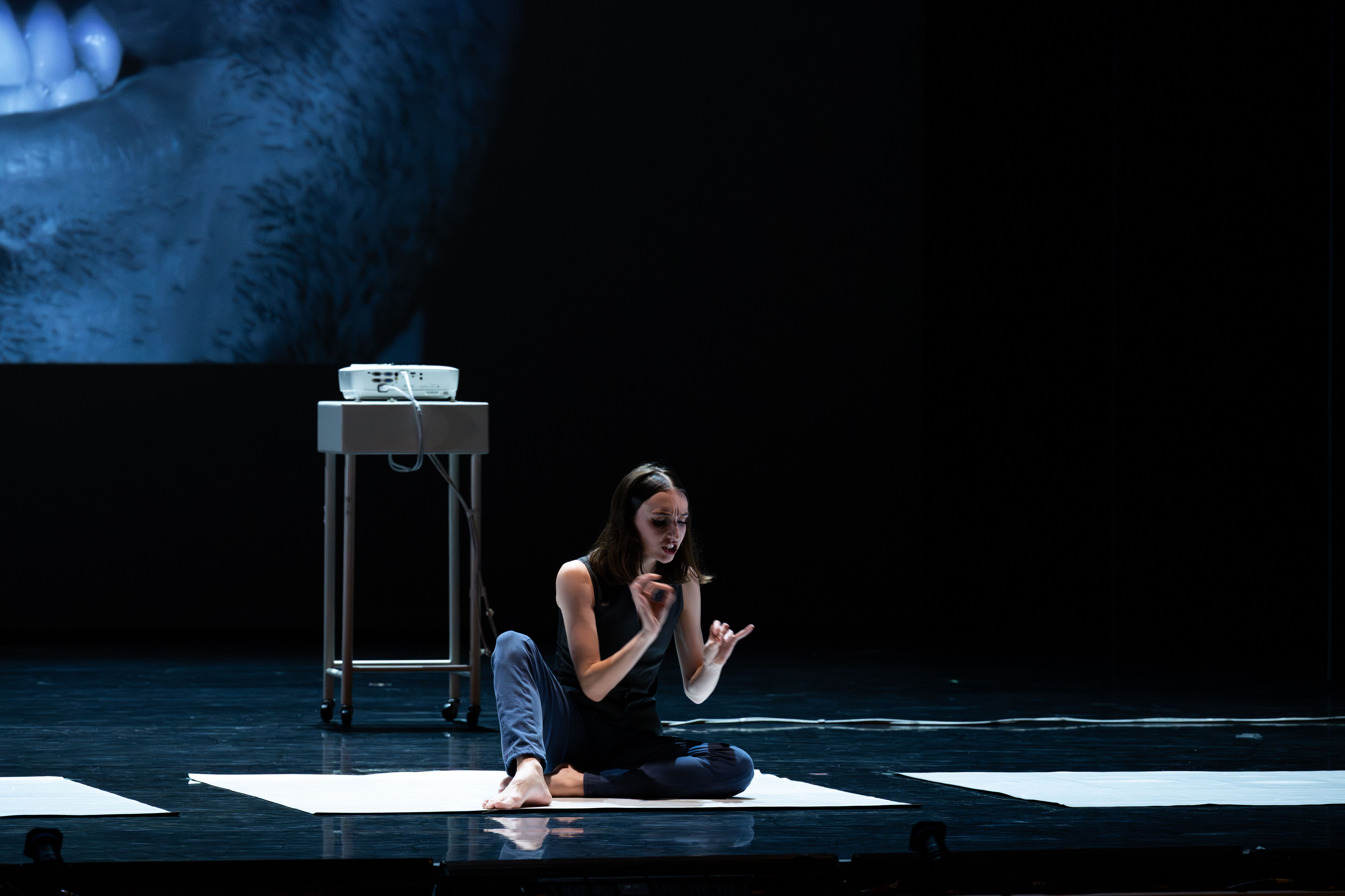 Atlanta Ballet Performance Image