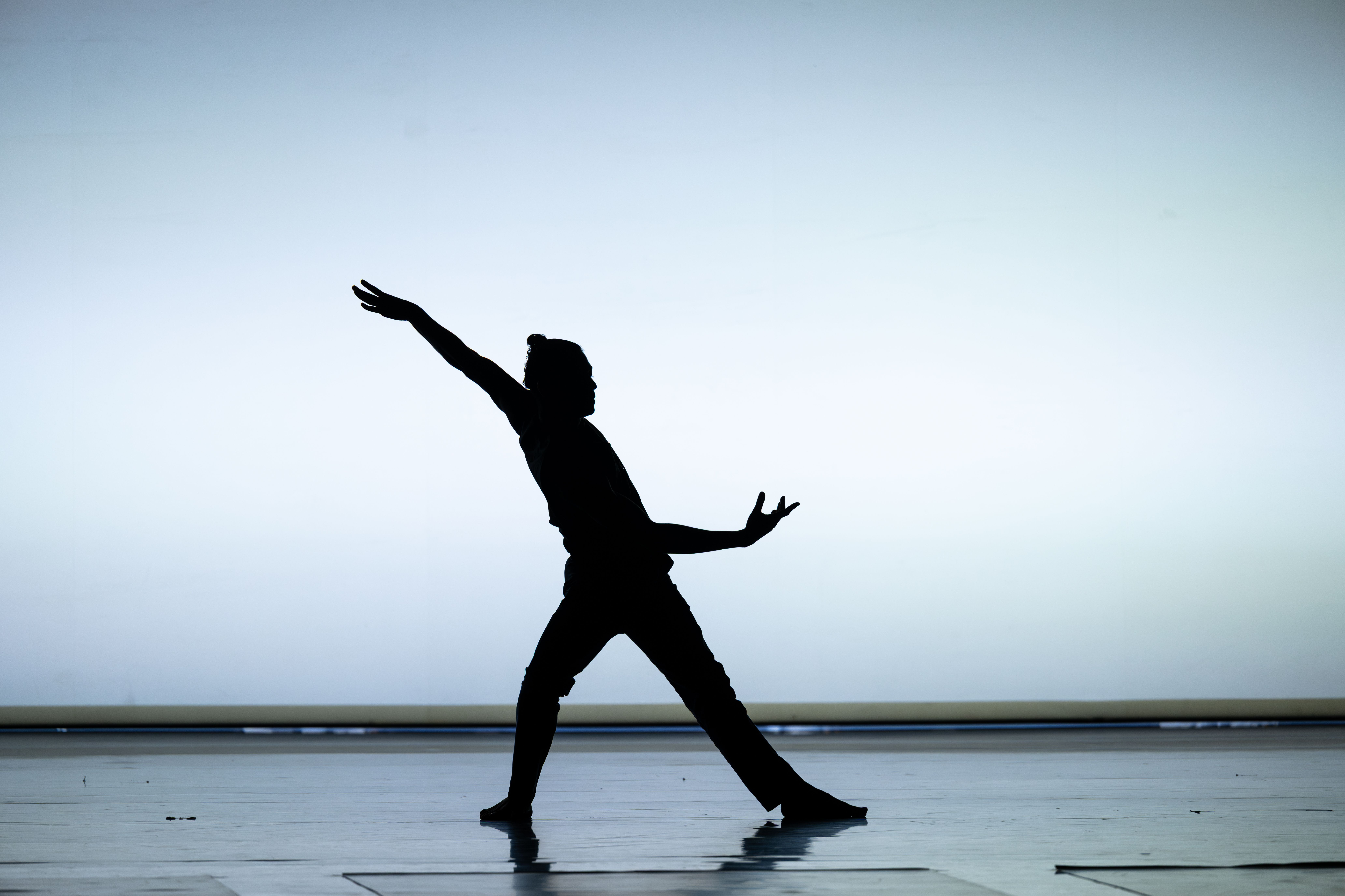 Atlanta Ballet Performance Image