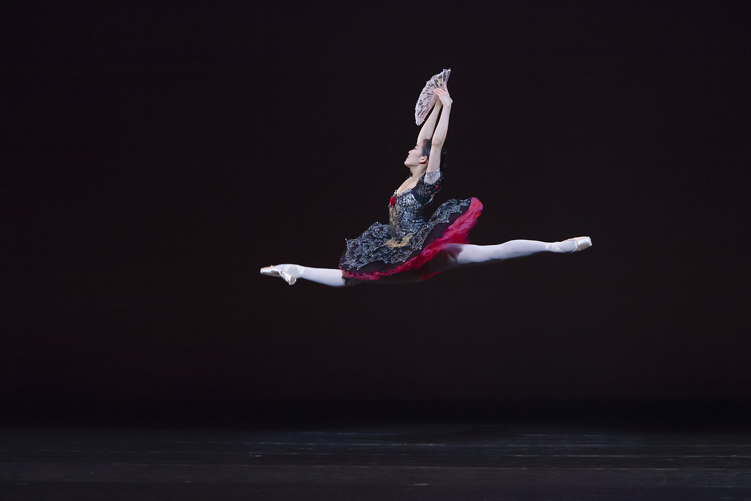 Atlanta Ballet Performance Image