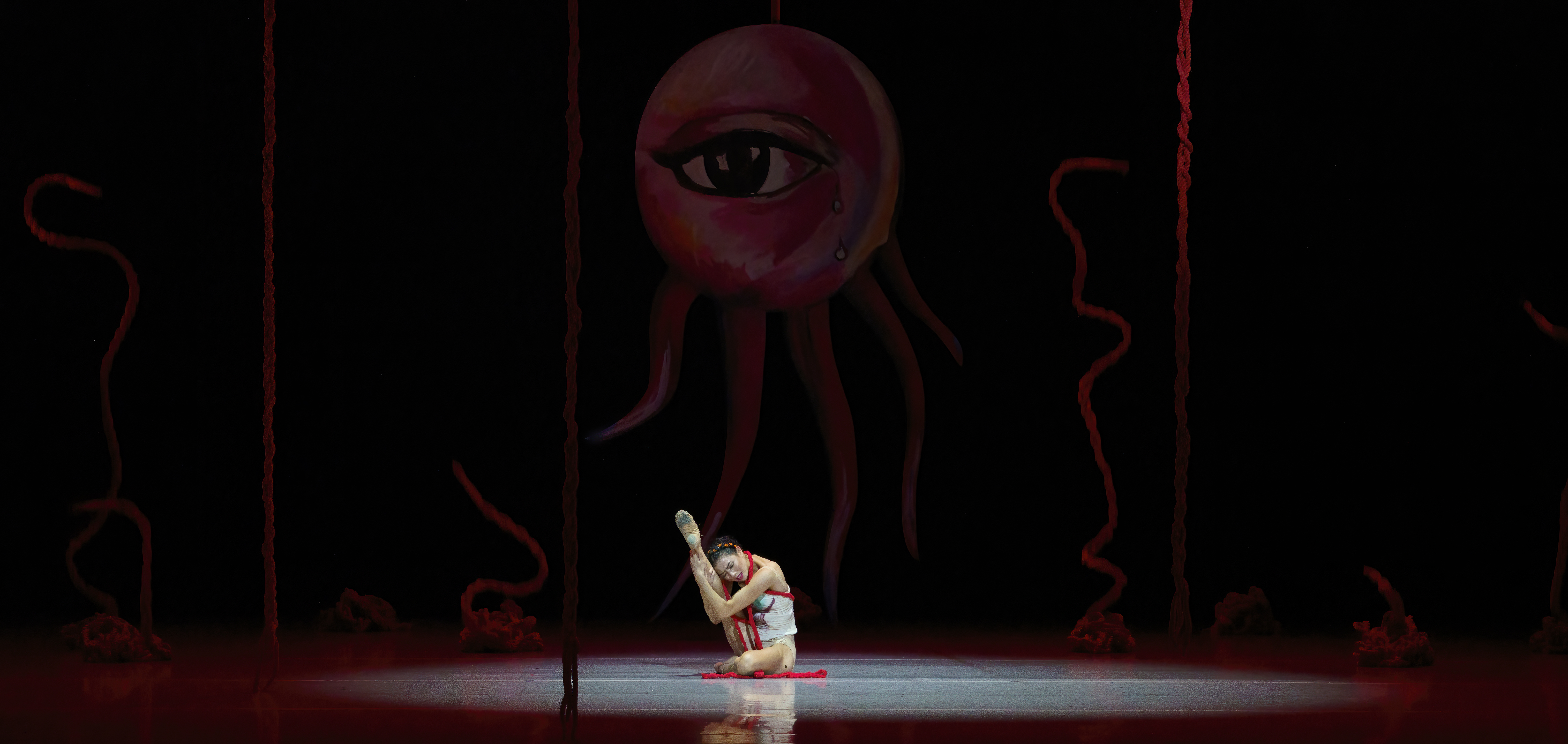 Atlanta Ballet Performance Image