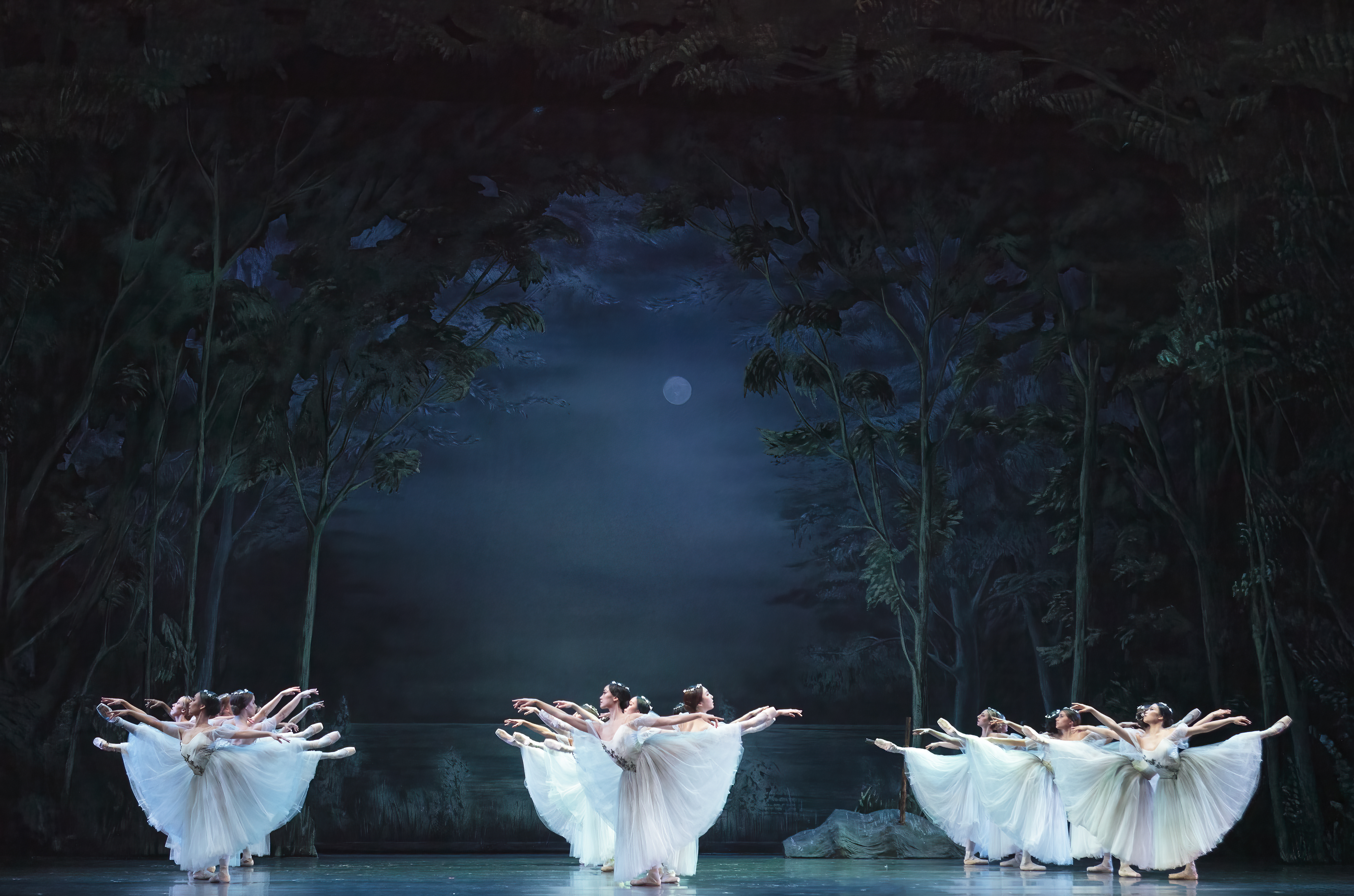Atlanta Ballet Performance Image