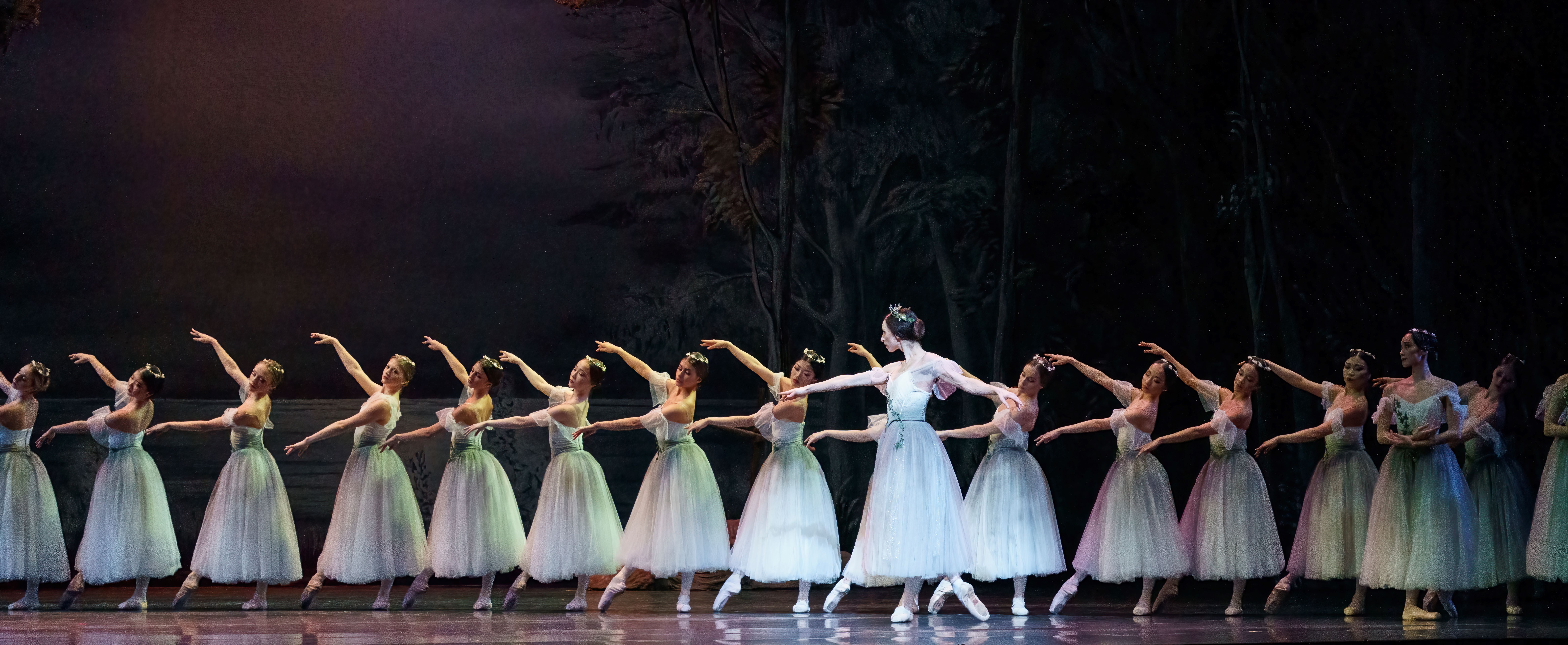 Atlanta Ballet Performance Image