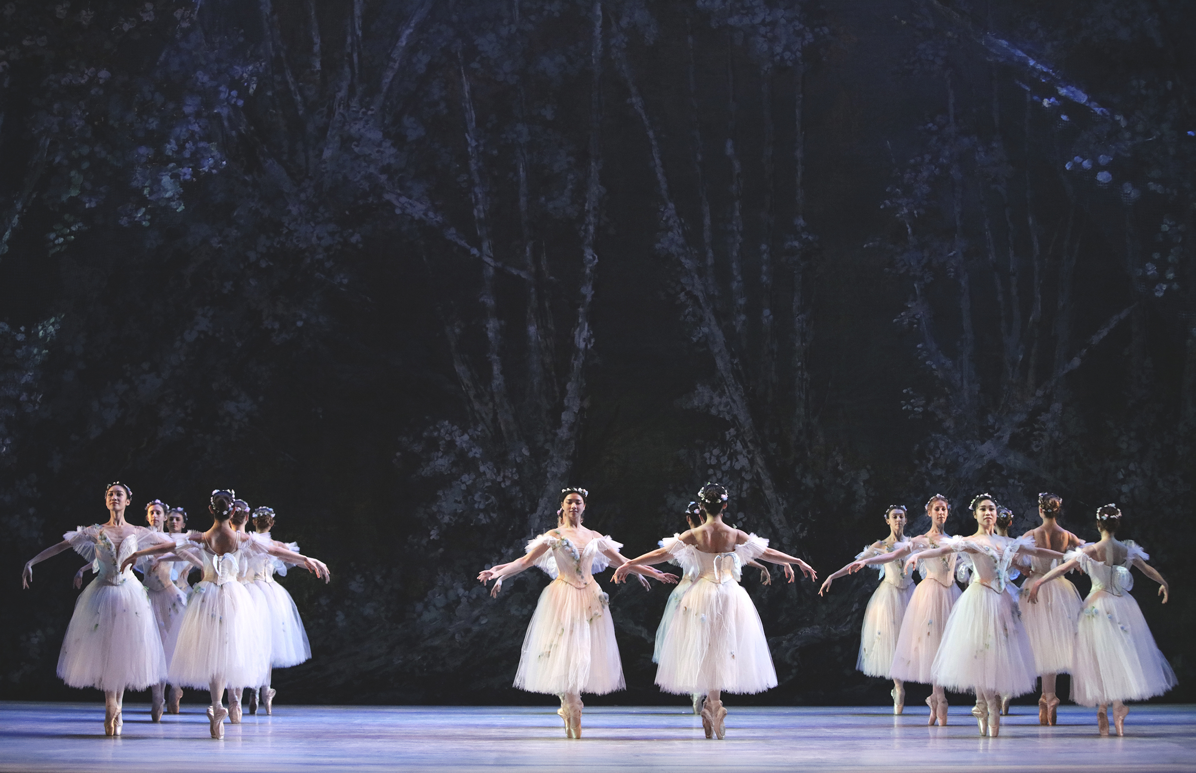 Atlanta Ballet Performance Image