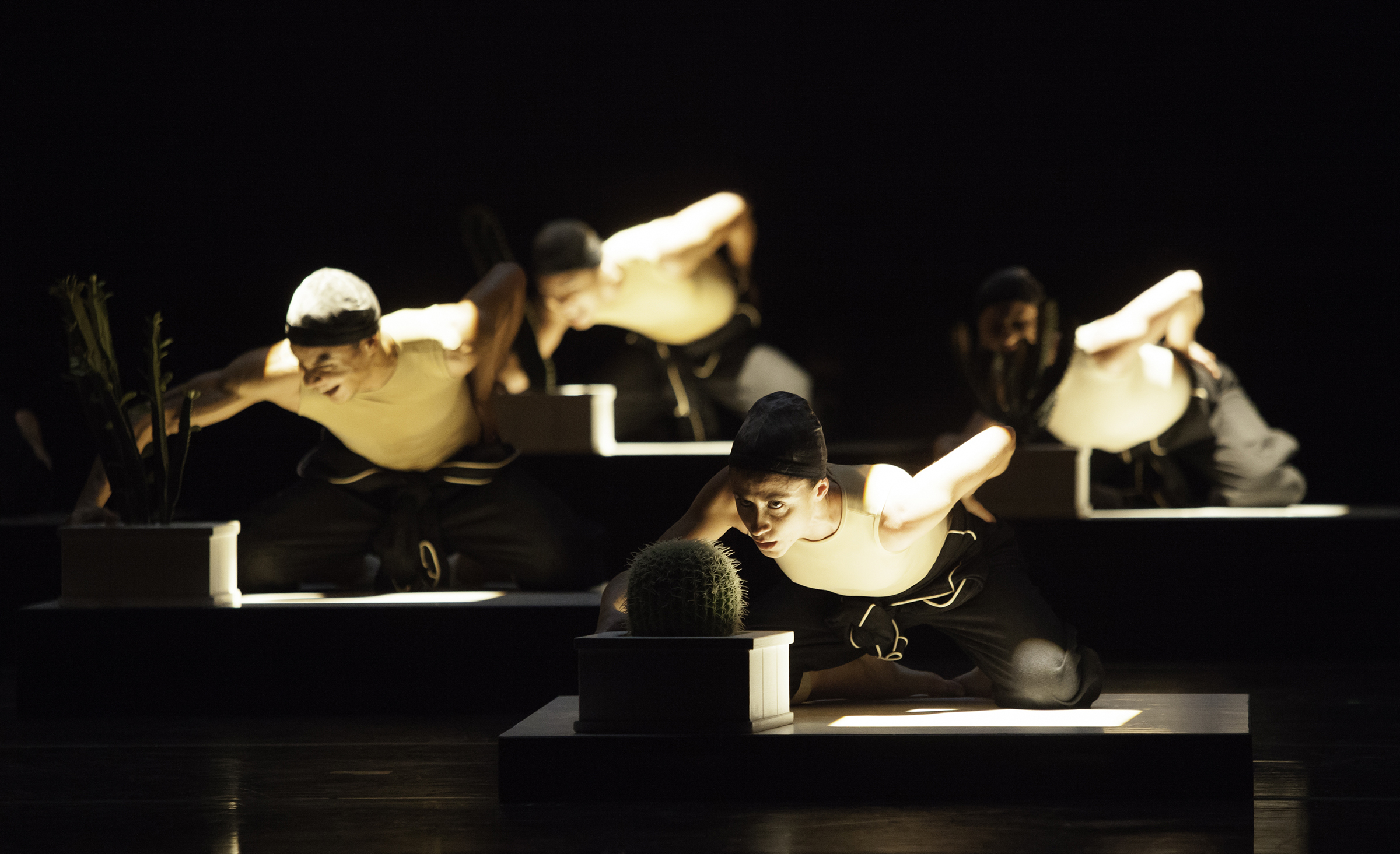 Atlanta Ballet Performance Image