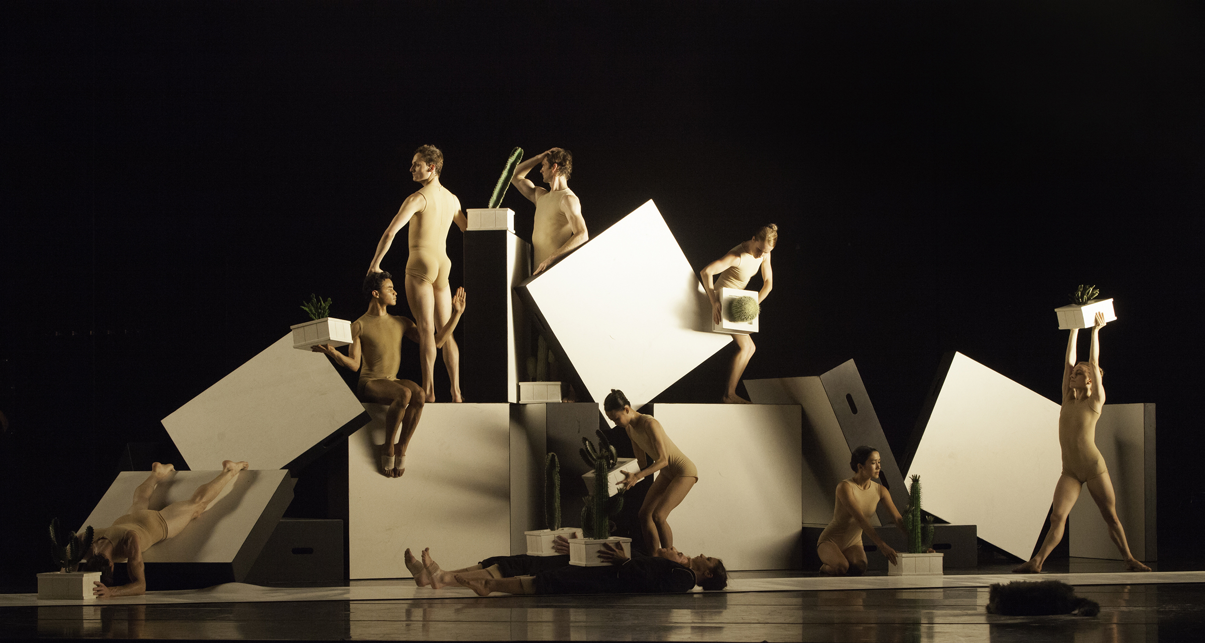 Atlanta Ballet Performance Image