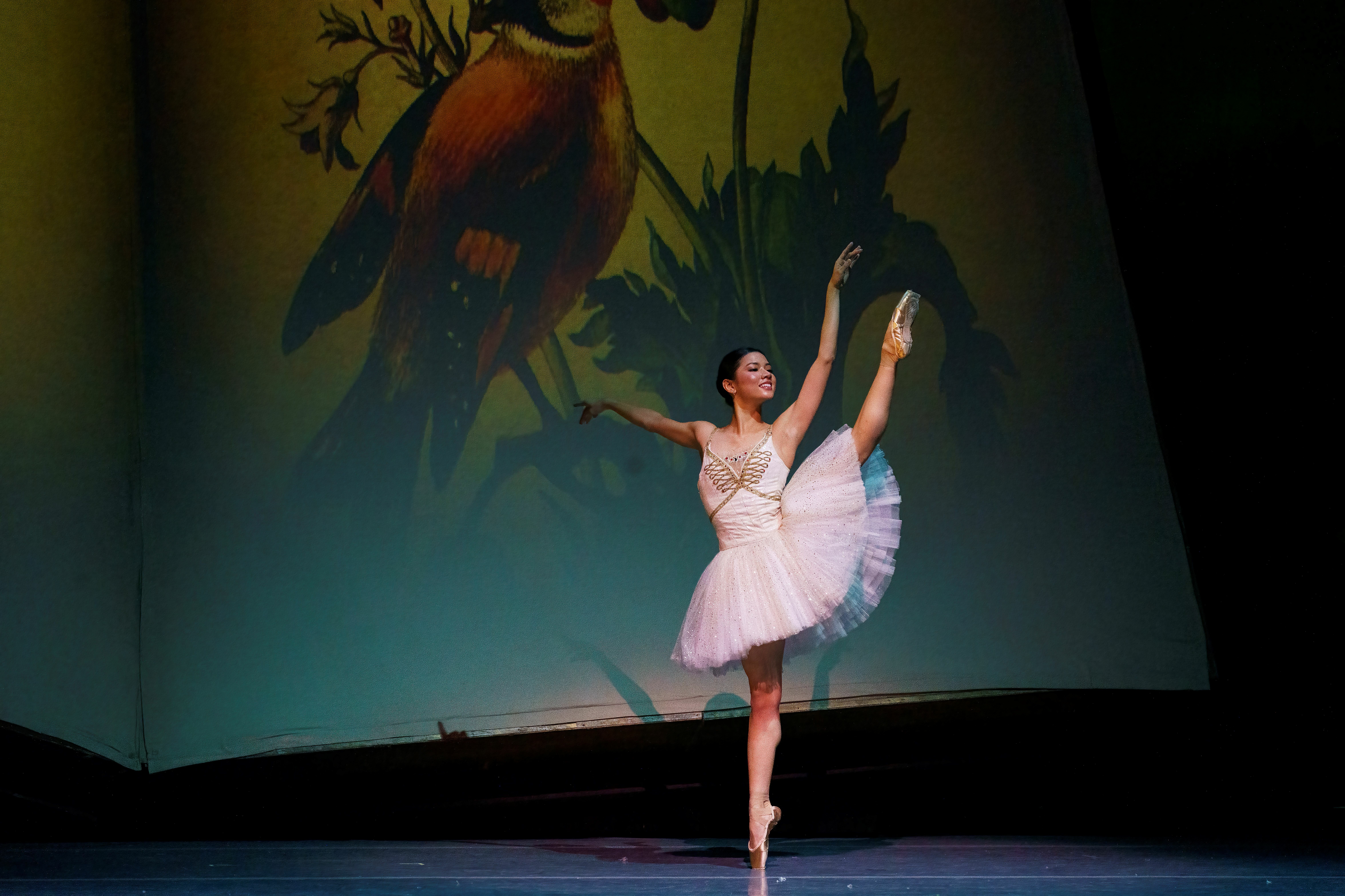 Atlanta Ballet Performance Image