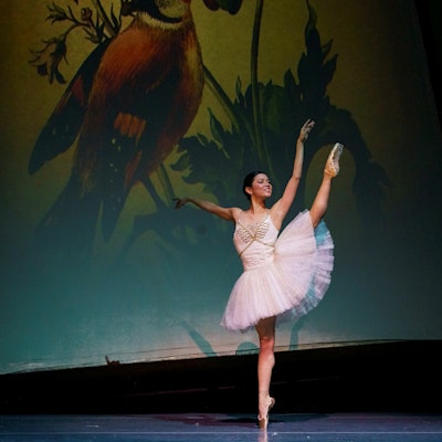 Atlanta Ballet Performance Image
