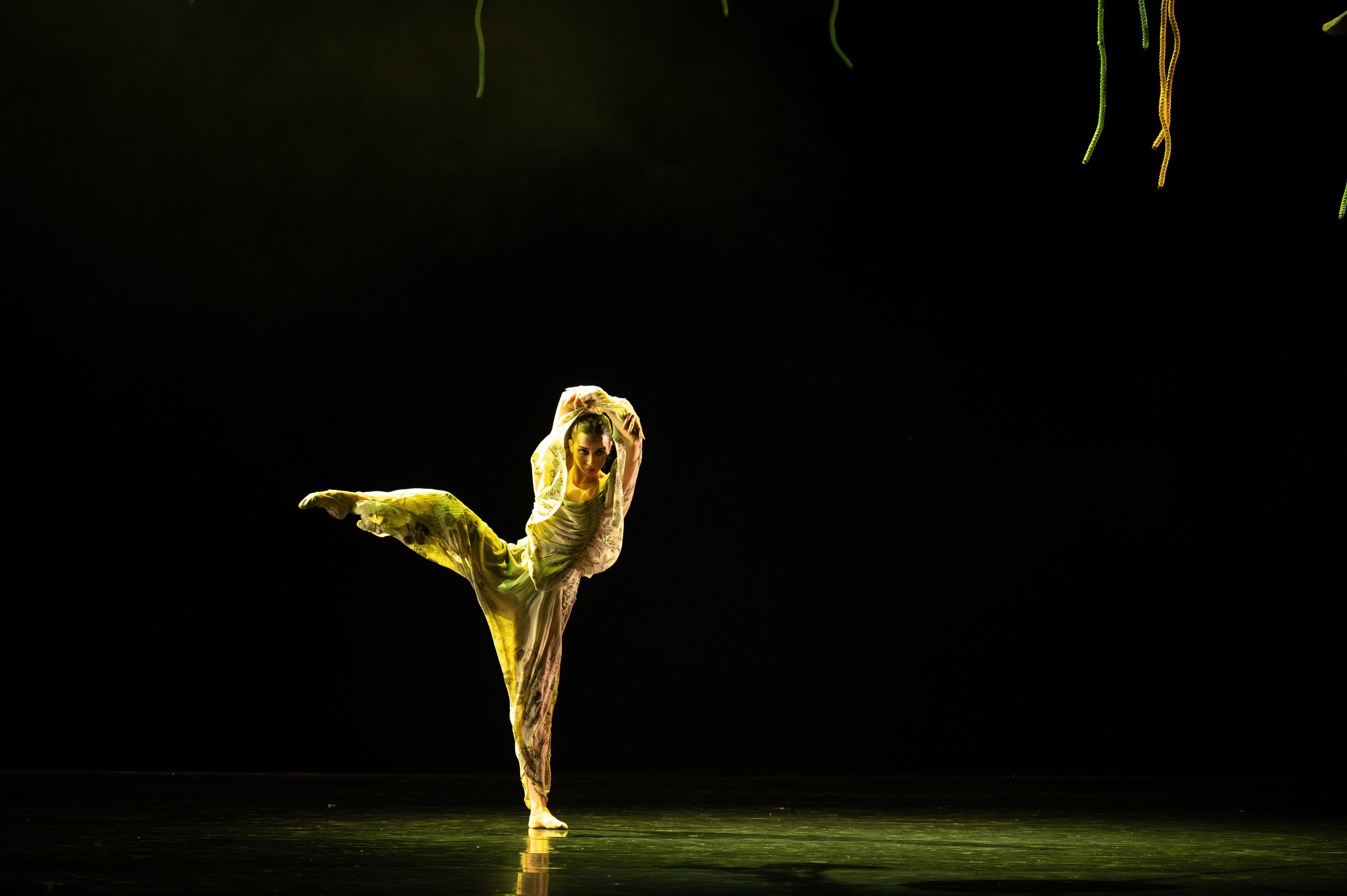 Atlanta Ballet Performance Image